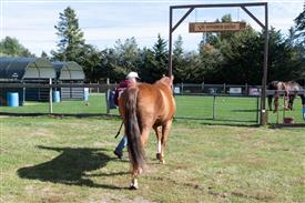 LR-WRF 10182025 Retreat-6571